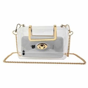 Transparent Mini Handbag